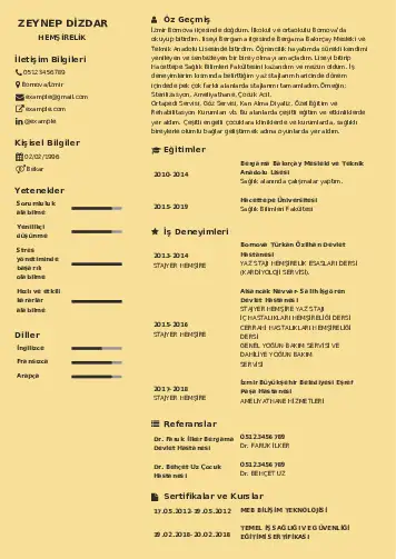 Sağlık Çalışanı Cv Örnekleri cv indir